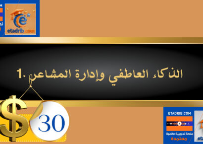 الذكاء العاطفي وإدارة المشاعر 30 دولار